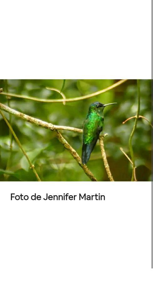 Jardin De Naipi Daire Puerto Iguazú Dış mekan fotoğraf