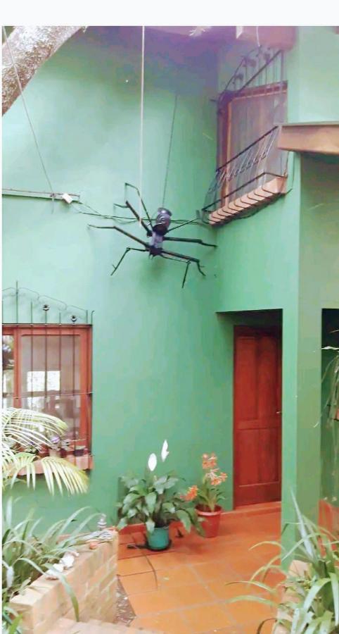 Jardin De Naipi Daire Puerto Iguazú Oda fotoğraf